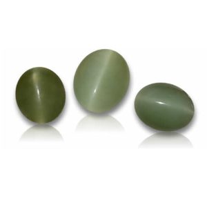 Actinolite Cat's Eye