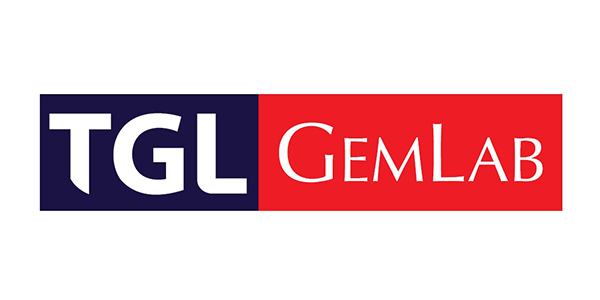 gemlab 2-1